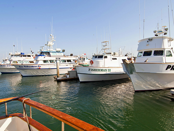 Fishing fleet in a Point Loma harbor
