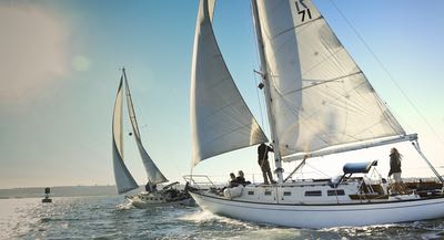 Sailing tours off the coast of San Diego CA